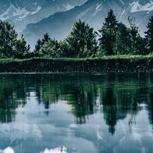 Meet your Posher, Angelina